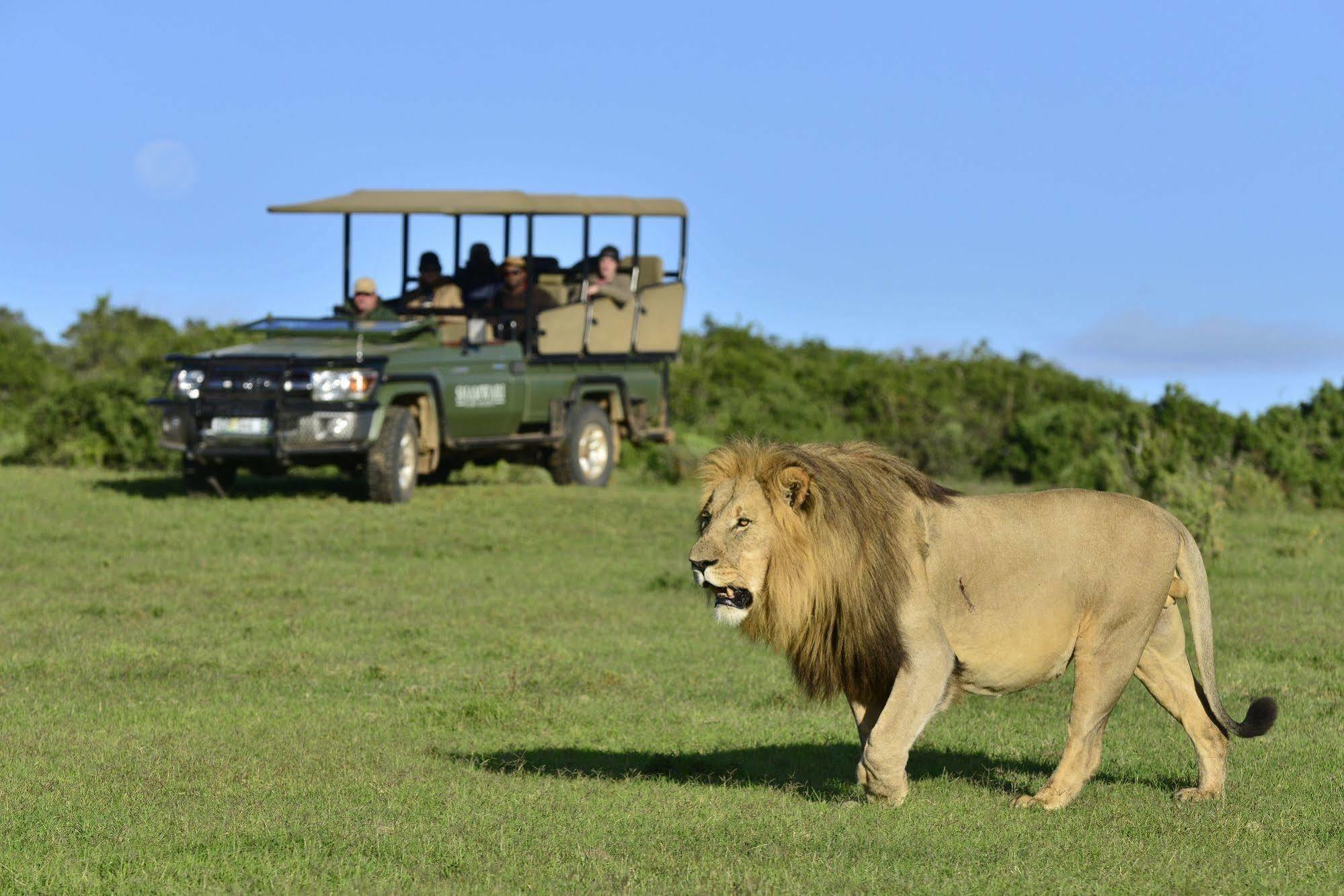 Shamwari Game Reserve Port Elizabeth Eksteriør billede
